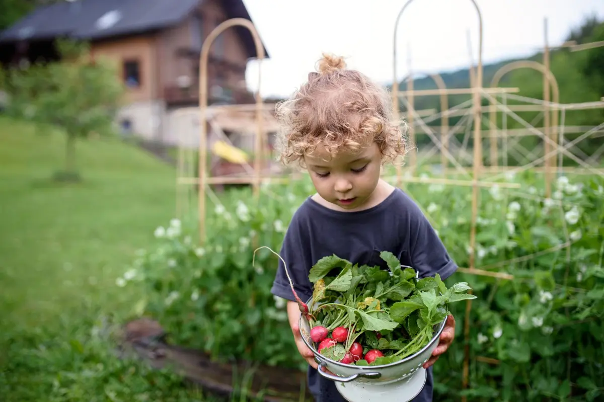 Как заинтересовать детей огородом