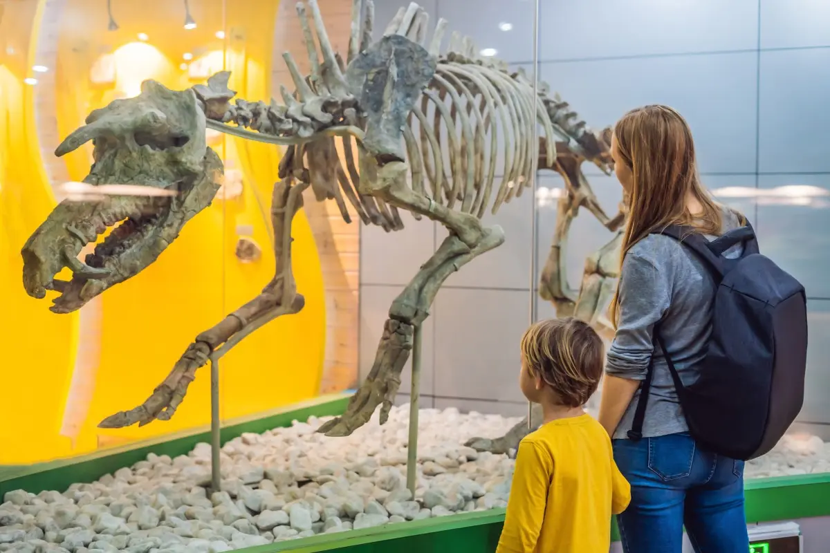 Музеи и дети: как и зачем ходить на выставки с ребенком