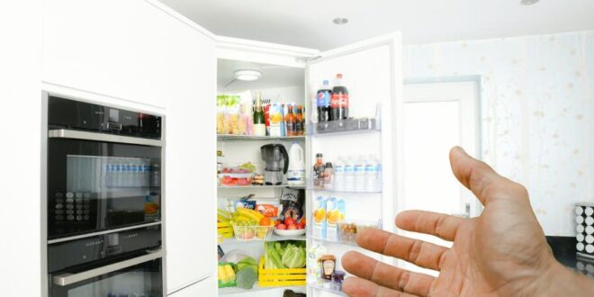 Как выбрать надежный холодильник: советы экспертов | Дом и семья | В кругу семьи