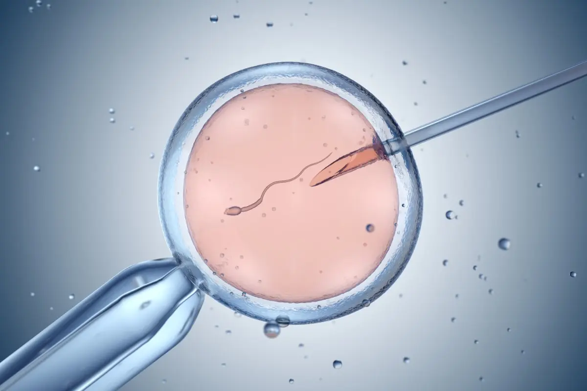 Отложенное родительство. Заморозка эмбрионов «до востребования» — бывает всякое…